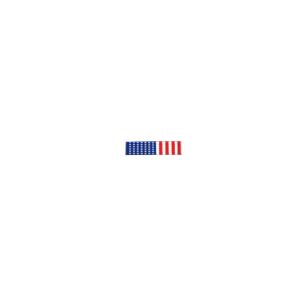 US Flag Ribbon with Clutch Back