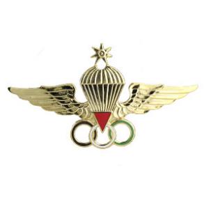Master Jordanian Parachutist Wings (Gold)
