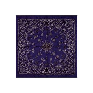 Blue Paisley Bandana (New Style)