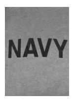 Navy T-shirt (Gray)