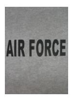 Air Force T-shirt (Gray)