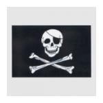 Pirate Flags