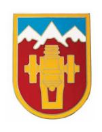 169th Fire Brigade Combat Service I.D. Badge