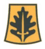 800th Military Police Brigade Combat Service I.D. Badge