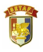Southern European Task Force Combat Service I.D. Badge