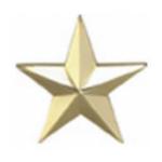 1 Star Rank Insignia Pin
