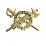 Army Officer Inspector General Insignia