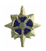 Army Officer Military Intelligence Insignia