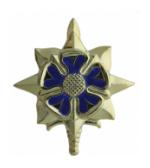 Army Officer Military Intelligence Insignia