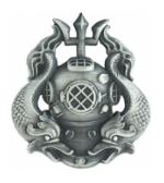 Army Master Diver Skill Badge
