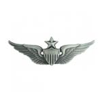 Army Senior Aviator Wing