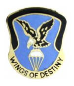 101st Aviation Battalion Pin