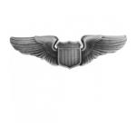 Air Force Wings