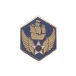 6th Army Air Force Pin