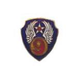 9th Army Air Force Pin