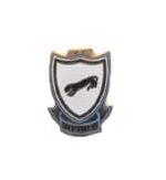 505th Airborne Infantry Regiment Pin