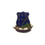 506th Airborne Infantry Regiment Pin