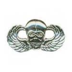 Winged Skull Pin