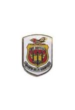 USS Saratoga Pin