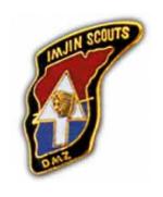 2nd Division IMJIN Scouts Pin