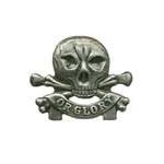 17th/21st Lancers Death Or Glory Pin