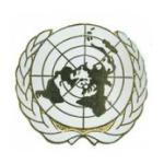 U.N. Beret Badge