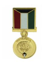 Kuwait Liberation (Hat Pin)