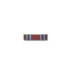 Combat Readiness (Lapel Pin)