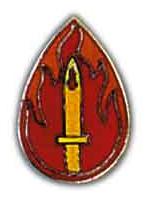 63rd Division Pin