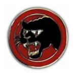 66th Division Pin