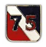 75th Division Pin