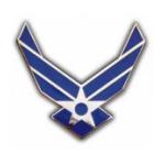 Air Force Pin (New Logo)