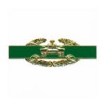 Combat Armor Pin