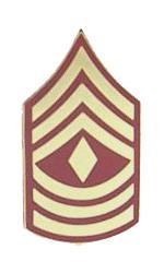 Marine 1st Sergeant E-8 Pin (Gold on Red)