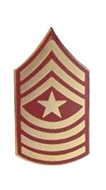 Marine Sergeant Major E-9 Pin (Gold on Red)