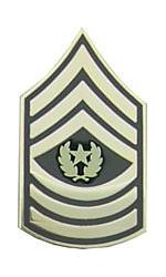 Army Command Sergeant Major E-9 Pin (Gold on Green)