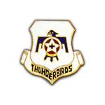 Air Force Thunderbirds Pin