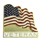 Veteran Wavy Flag Pin