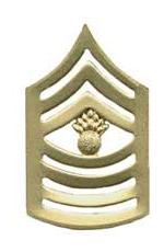 Marine Corps Master Gunnery Sergeant (Metal Chevron) (Dress)