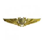 Marine Aerial Navigator Badge