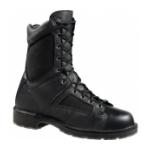 Danner Duty / Military Boots