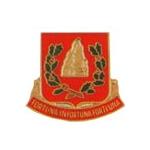 37th Engineer Battalion Distinctive Unit Insignia