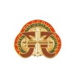109th Medical Battalion Distinctive Unit Insignia