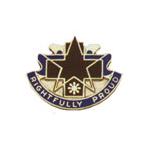 131st Field Hospital Distinctive Unit Insignia