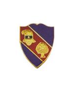 354th Regiment Distinctive Unit Insignia