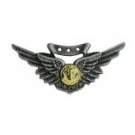 Navy Combat Aircrew Wings