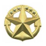 Navy Command At Sea Badge
