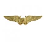 Navy Astronaut Wings