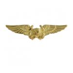 Navy Astronaut Wings