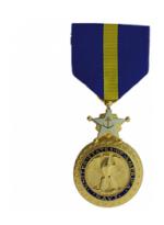 Navy Distinguished Service Medal (Full Size)